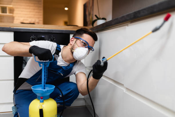 Best Bed Bug Extermination  in Oak Harbor, OH
