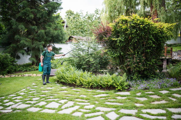 Best Mosquito Control Services  in Oak Harbor, OH