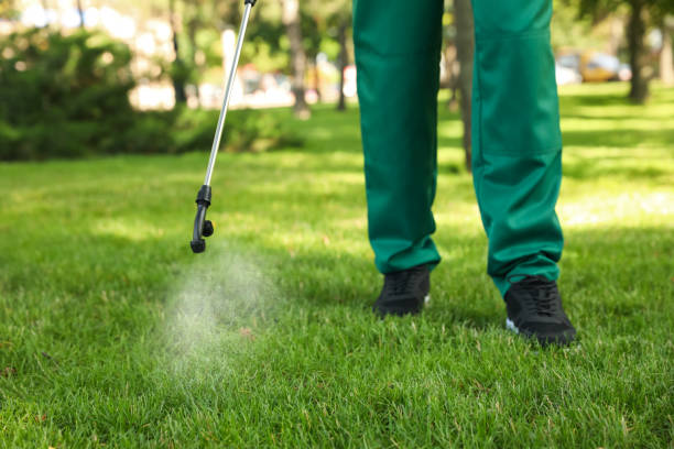 Best Best Pest Control Companies  in Oak Harbor, OH
