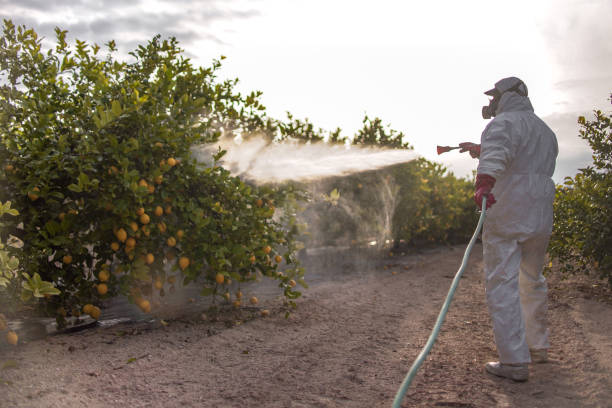 Best Wasp Removal Services  in Oak Harbor, OH