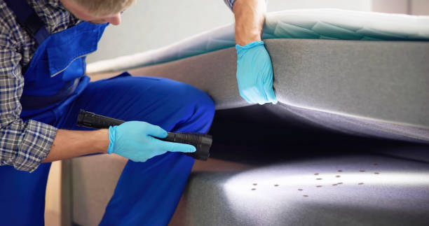 Best Local Pest Control Services  in Oak Harbor, OH