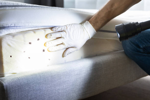 Best Pest Prevention Services  in Oak Harbor, OH