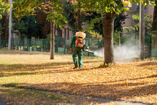 Best Pest Control for Restaurants  in Oak Harbor, OH