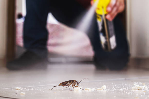 Best Best Pest Control Companies  in Oak Harbor, OH