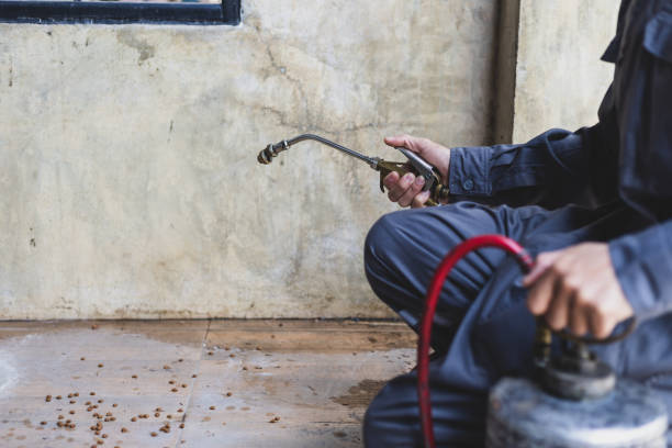 Best Best Pest Control Companies  in Oak Harbor, OH